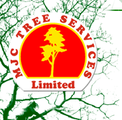MJC Tree Services, tree consultant, chartered aboreal consultant